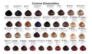 Issue Tintura x60g. + Agua