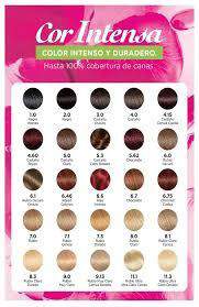 Garnier Cor Intensa. pomo+agua+guantes